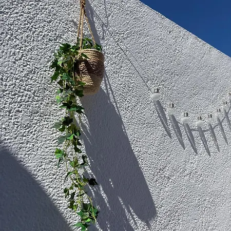 Wake Up By The Sea In Your Cozy Corner Appartement